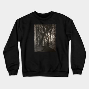 In The Woods Crewneck Sweatshirt